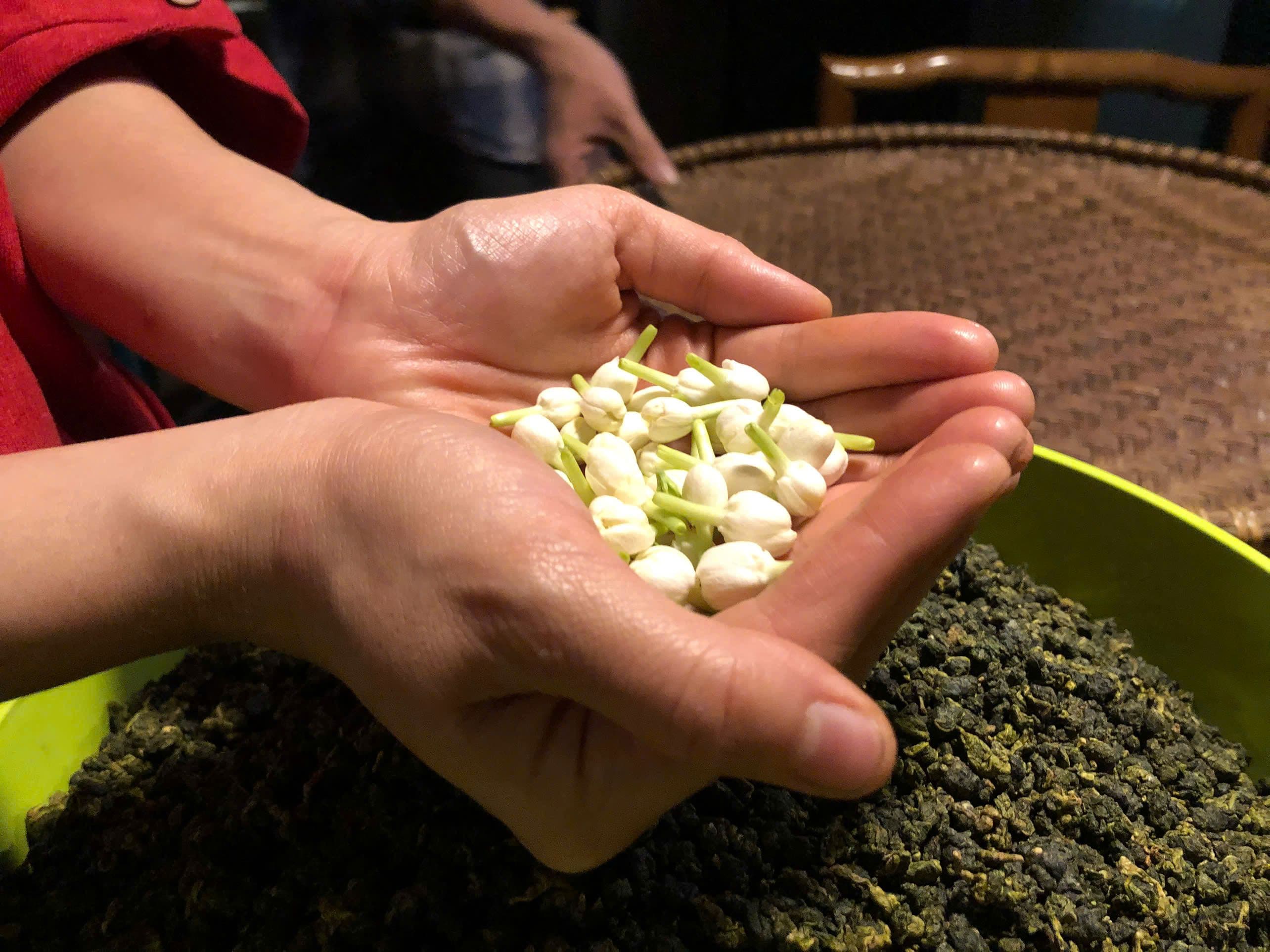 Hàm Hương Nhài (1/6)